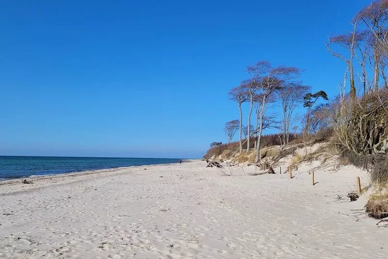 In the heart of Zingst High-quality furnishing w/sophisticated comforts
