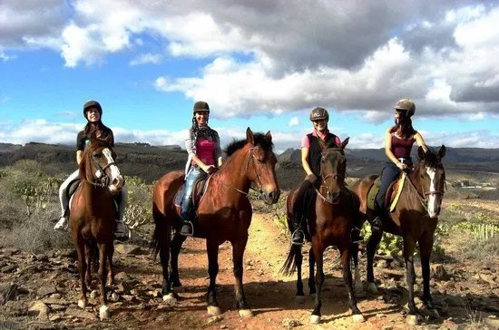 El Salobre Horse Riding
