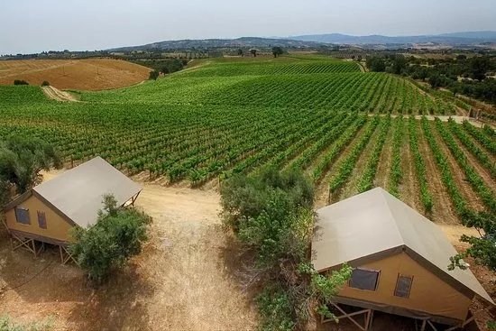 Serragiumenta
