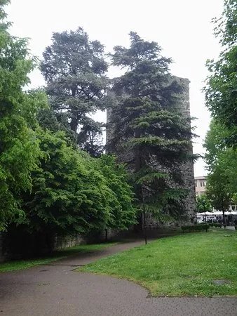 Torre Gattoni