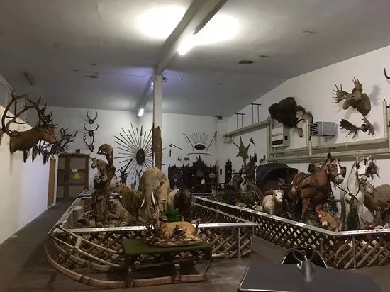 Tiermuseum Regenhutte