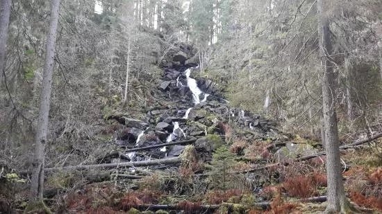 Pielavesi