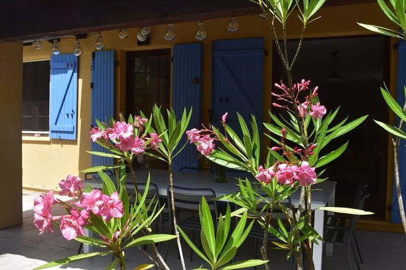 Beautiful house / villa Le Manse 10 people with private pool in the Gard