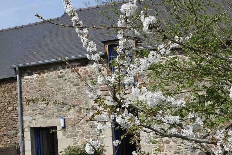 Gite In A Charming House, 10mn from the sea