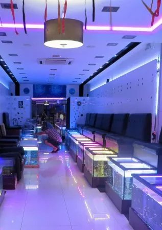 NEXT level Fish Spa