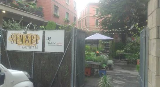 Senape Vivaio Urbano