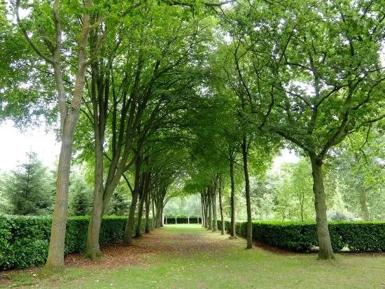 Whipsnade Tree Cathedral