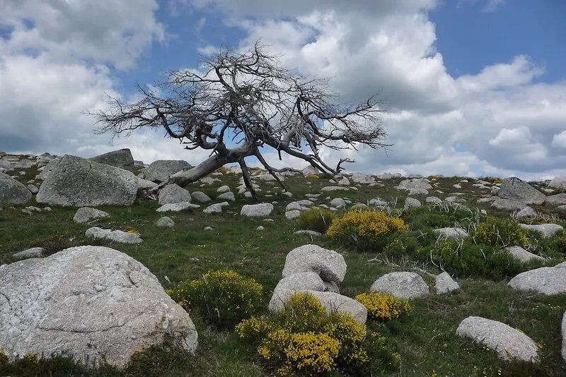 7 km from the capital. Ideal situation to radiate and discover Lozère