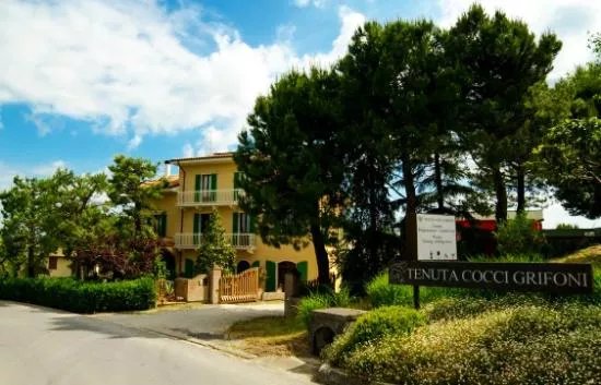 Tenuta Cocci Grifoni