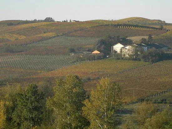 Az. Agricola Ivaldi Dario di Ivaldi Andrea