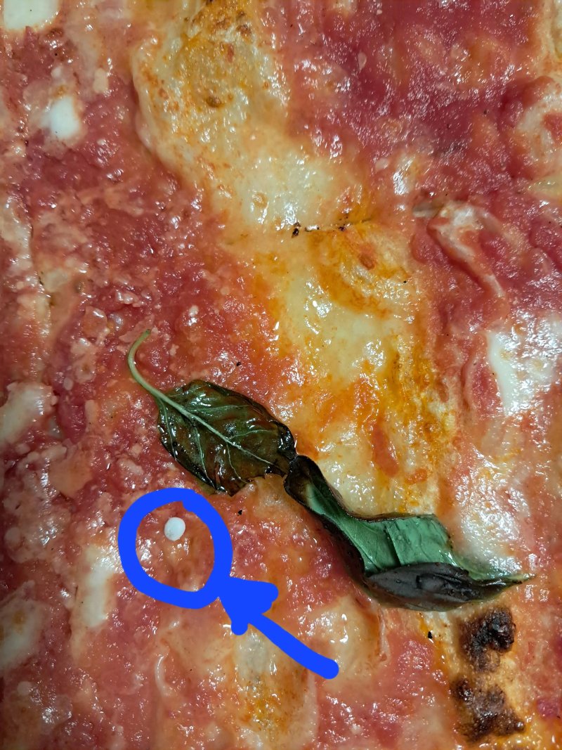 Pizzeria Patrizia