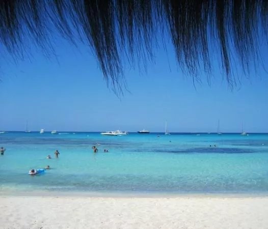 Platja d'es Trenc