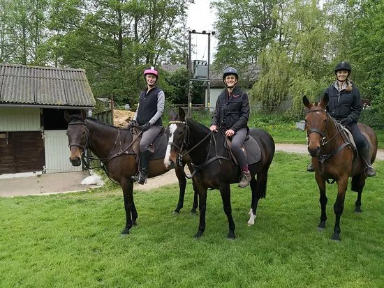 Slades Farm Equestrian Ltd
