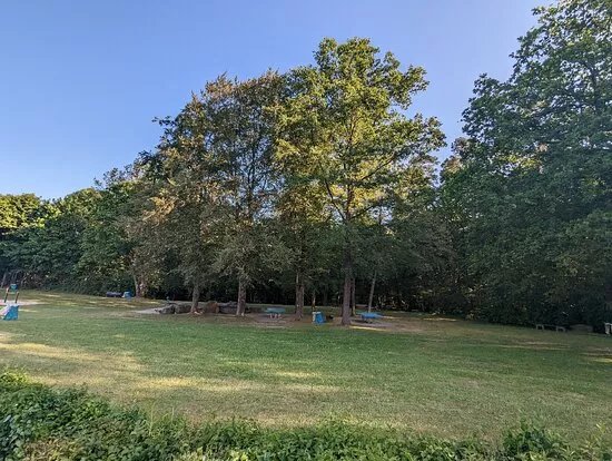 Waldfreibad Rodenbach