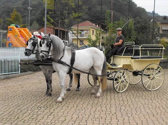 Servizi in Carrozza