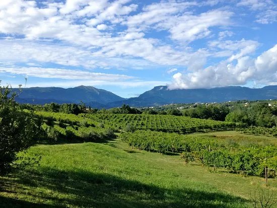 Azienda Agricola Mani Sagge