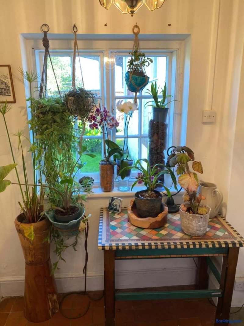 Art House B&B