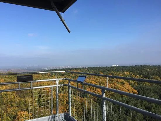 Aussichtsturm Rauener Berge