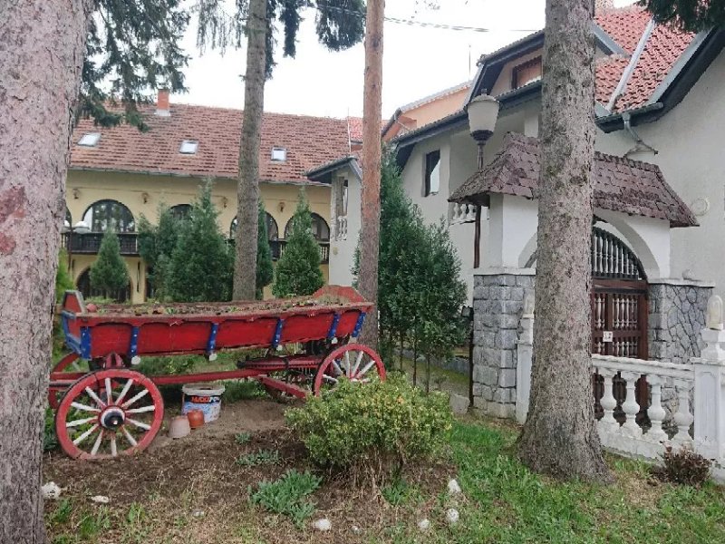 Hotel Jele Jezevica