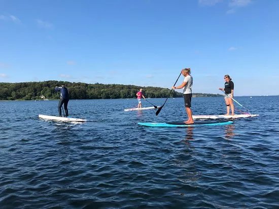 Paddles & Fins UG