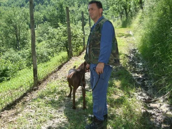 Truffles Hunting in Le Marche