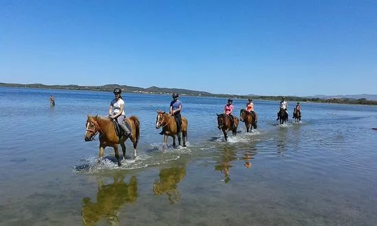 Attractions