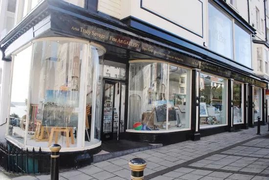 Tracy Savage Fine Art Gallery