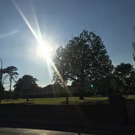 People's Park