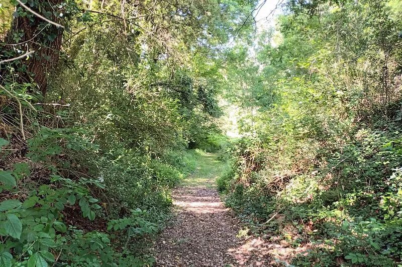 Very good location! Character house with private access to the river