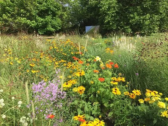 Britzer Garten