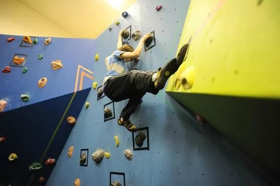 Yellow Spider Climbing