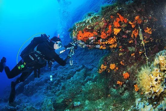 Salt Water Divers