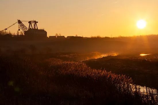 RSPB St Aidan's nature park