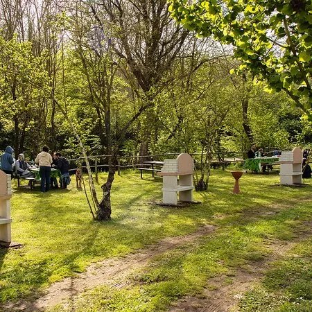 Area Picnic TRIALART