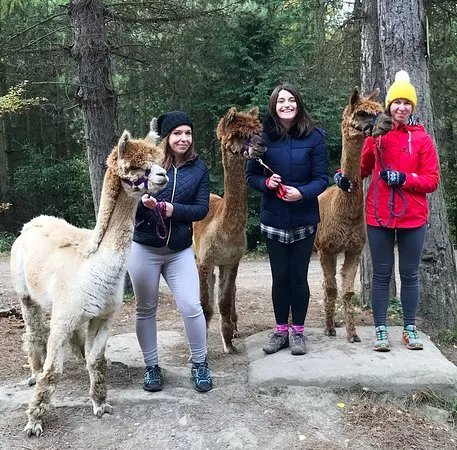 Posey Paca's