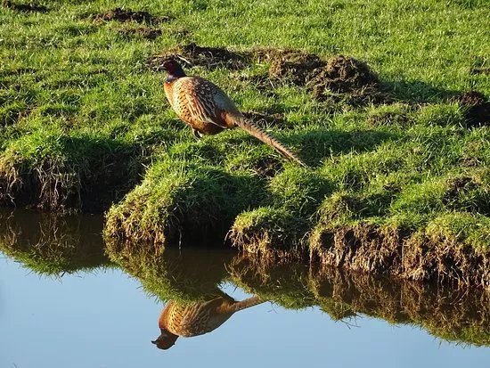 Oosterpark