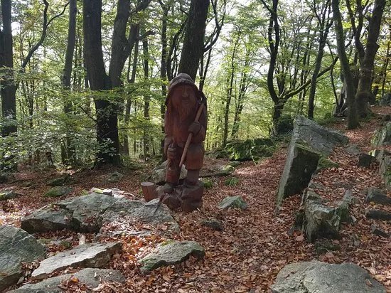 Zauberwald