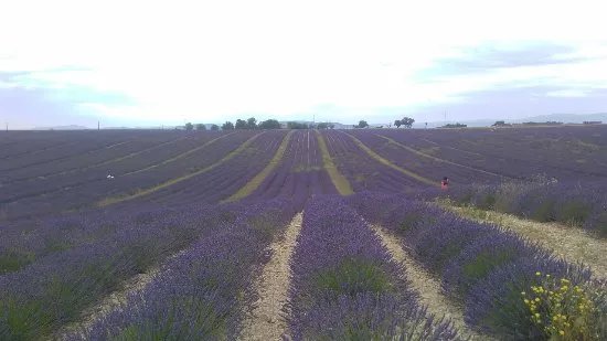 Rendez Vous Provence