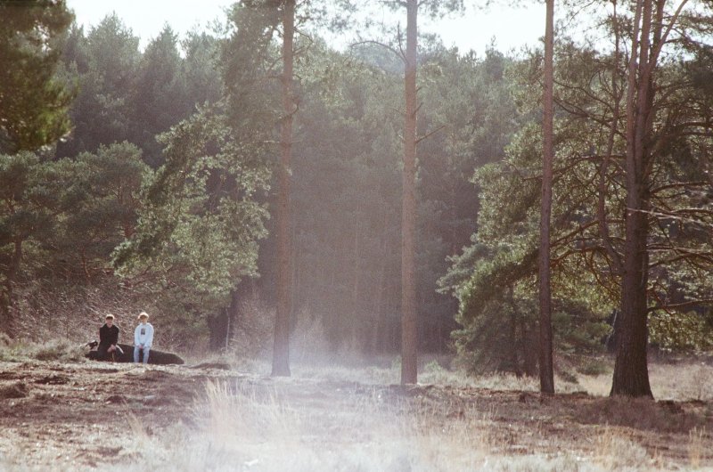 Horsell Common