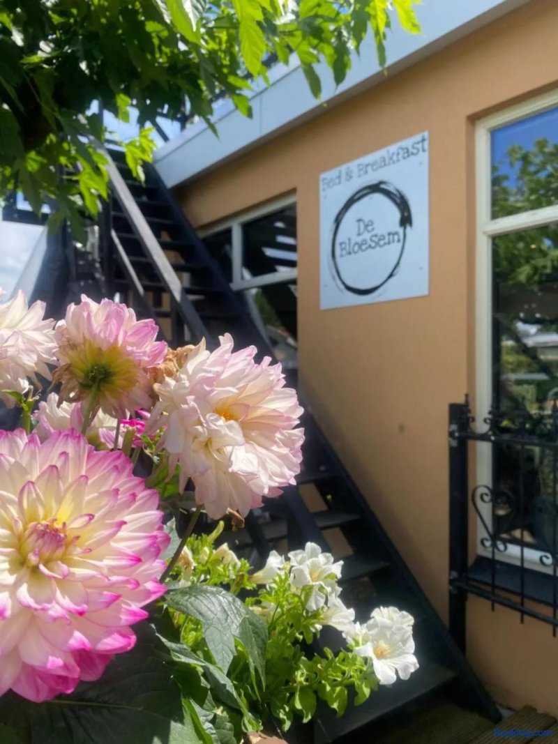 Bed & Breakfast De Bloesem