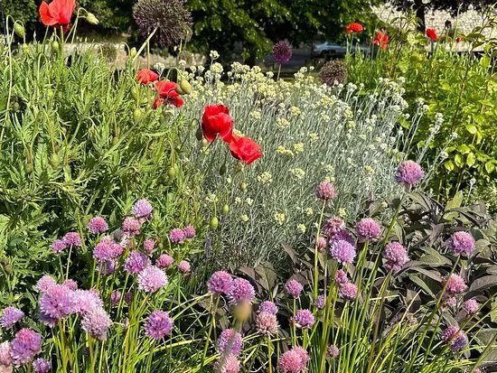 Suffrage Sensory Garden Rochester