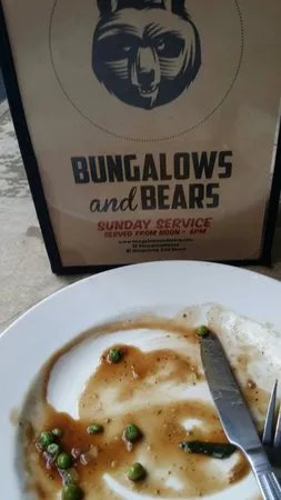 Bungalows And Bears
