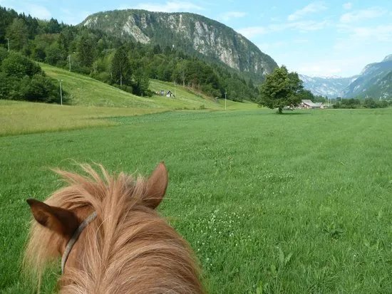 Mrcina Ranch