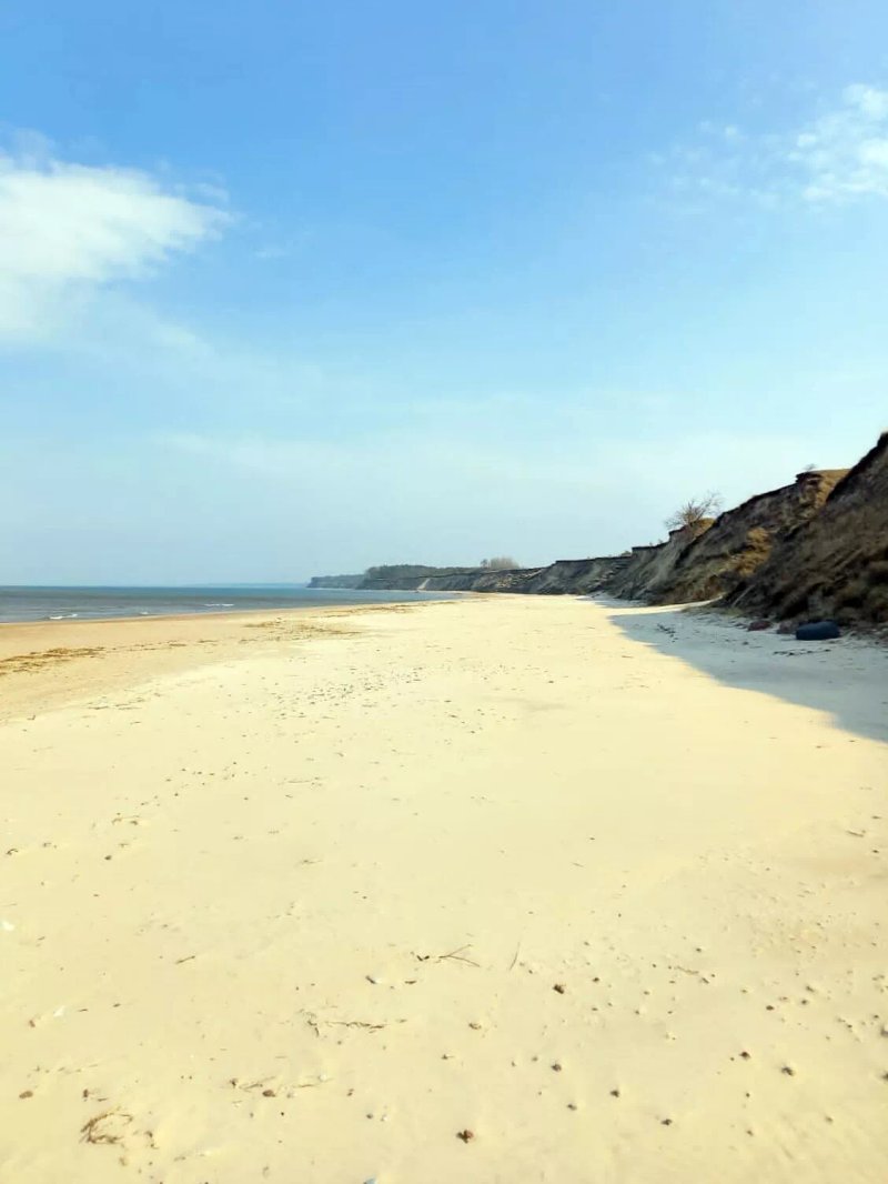 Strante-ulmale Seashore Bluffs