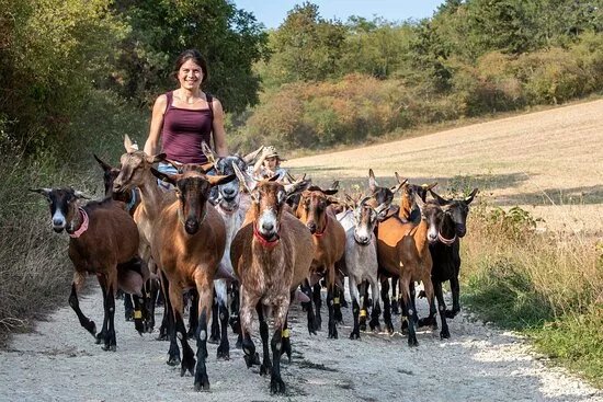 La Ferme d'Ulteria