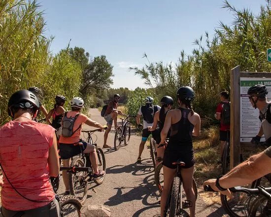 Les Domaines Viticoles A Velo Electrique