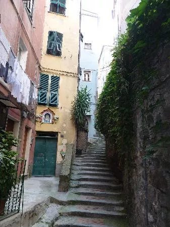 Mariella Camere