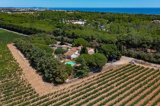 Domaine La Yole Caveau Winery