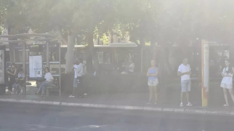 EMT Palma - Empresa Municipal de Transportes de Palma de Mallorca