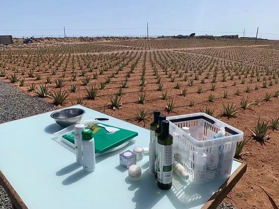 Finca Canarias Aloe Vera